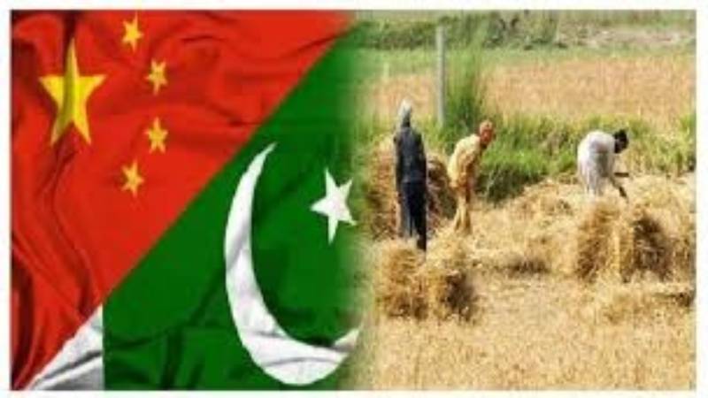 Pakistan-China Friendship Farm inaugurated in Okara